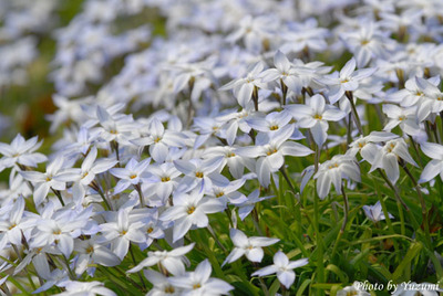 DSC_2124.JPG