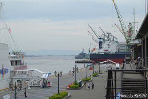 09-yoDSC_2255.JPG