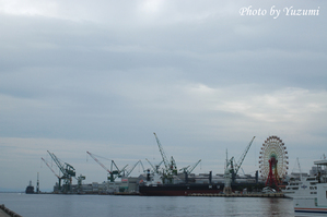 12-yoDSC_6877.JPG
