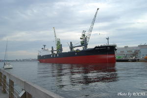06-yoDSC_2251.JPG