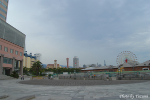 04-yoDSC_2250.JPG