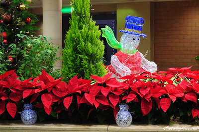 02-DSC_0830.JPG