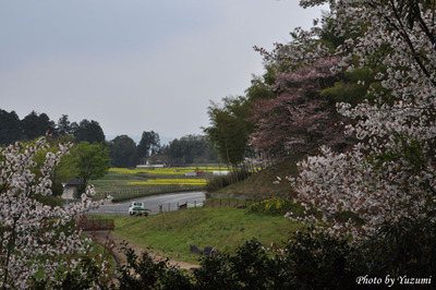 02-yoDSC_7589.JPG