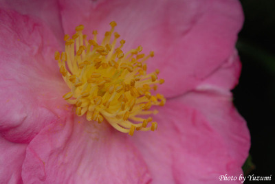 01-DSC_9093.JPG