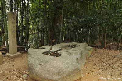 01-yoDSC_7588.JPG