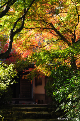 01-DSC_0977.JPG