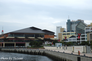 11-yoDSC_6875.JPG