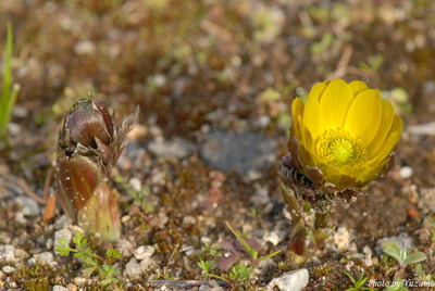 DSC_0813.JPG