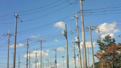 555d605b.jpg