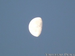 P1020540_800