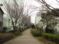 DSC00424