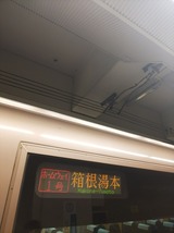12f2c1f9.jpg