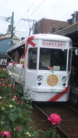 2e4760b2.jpg