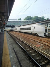 463ee453.jpg