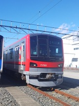 65596602.jpg