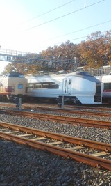 72e17608.jpg