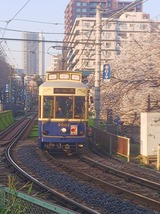 73864880.jpg