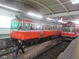 8233f41f.jpg
