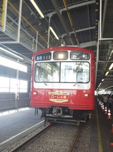 892f9d88.jpg