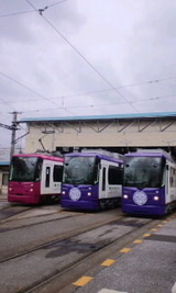 8ed70839.jpg