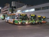 93285109.jpg