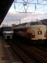 954943d7.jpg
