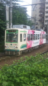 9b3877e5.jpg