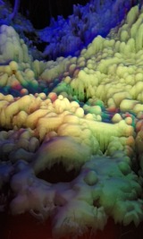 ad13f354.jpg