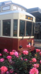 d09e3fa5.jpg