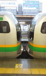 d172f519.jpg