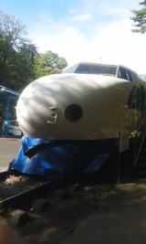 d5a8e763.jpg