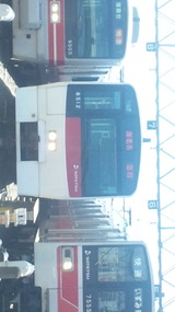da126a10.jpg