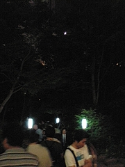 20090606梅田スカイビル 蛍