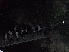 20090606梅田スカイビル 蛍