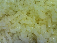 200902155butuki