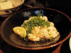 ちろり-白子20081203