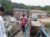 男鹿島偵察記