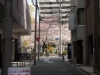 20090402弥七前の公園
