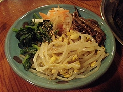 20090531南一園