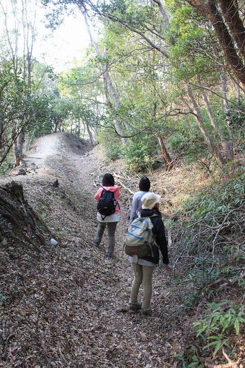 静岡遠征 (132)