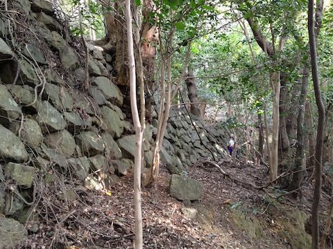 写真 2013-11-17 14 09 16