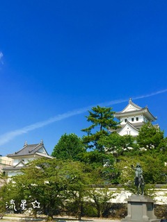 IMG_3049