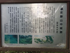 山中城 (1)