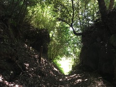 興国寺城 (10)