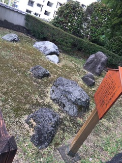 善得寺 (6)