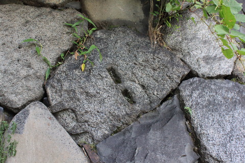 名古屋ロケ (10)