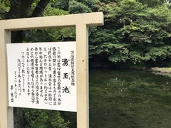 富士宮浅間大社 (3)