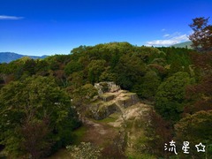 IMG_4540