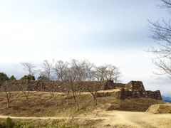 IMG_7448
