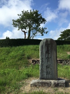 横須賀城 (5)